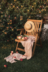 Garden furniture, wooden chair with straw hat and apples in the garden. Nearby pergola with thickets of honeysuckle.