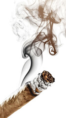 Elegant Smoke Whirls Ascending from a Burning Cigar on White Background