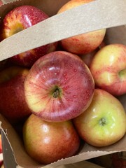 apples in a paper bag