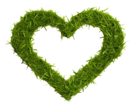 PNG Grass texture plant heart leaf.