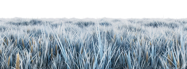 PNG Blue Grama landscape nature sky.