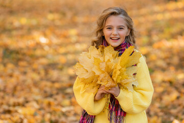 little blonde girl walks in the forest in autumn with a bouquet of leaves