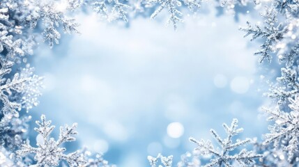 Beautiful winter background with frosty snowflakes forming a border on a soft blue backdrop, perfect for seasonal designs and festive projects.