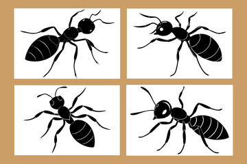 A set of Ants