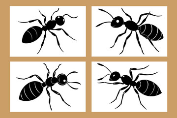 A set of Ants