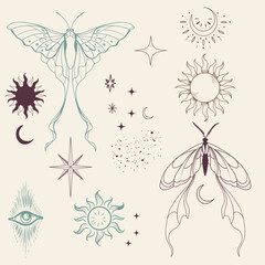 Collection of boho vector butterflies, elegant mystic, magic set of elements