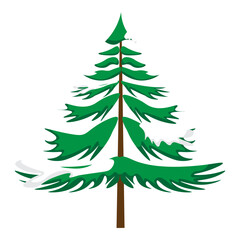 christmas tree isolated on white