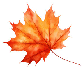 Fototapeta premium PNG Vibrant autumn maple leaf illustration