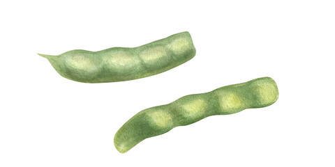 Chopped green beans watercolor garden illustration clip art in realistic style. Fresh organic vegetable ingredient for healthy food. Top view. Floral elements for menu, recipe and cookbook