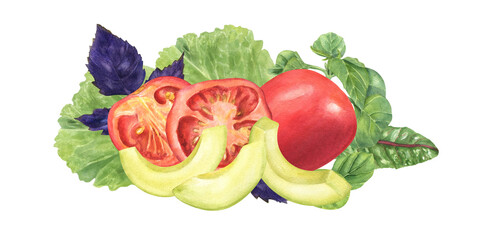 Fresh whole and chopped red tomatoes with avocado slices, green, purple seasoning herbs watercolor illustration. Summer garden vegetables with basil plant, oregano, shard salad, lettuce leaf, parsley