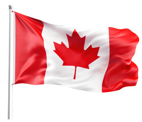 PNG Photo of a canada flag plant leaf.