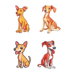 Italian Ibizan Hound dog tshirt design graphic