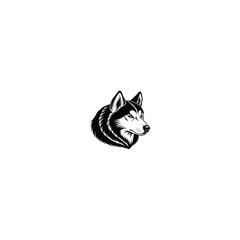 wolf head isolated