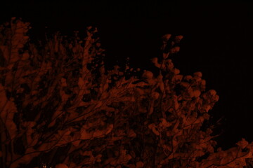 mysterious lights during a winter night in switzerland