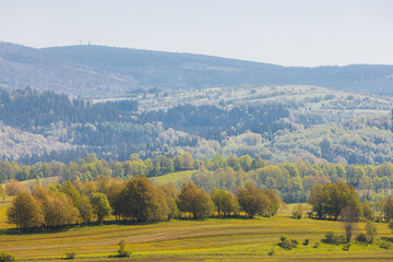 Fototapeta premium Scenic Rolling Hills and Verdant Fields in a Tranquil Countryside Setting