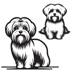 Maltese Dog Silhouettes , Cute Bichon Fris dog portrait vector, Maltese dog breed head vector illustration. Pet portrait in style of hand drawn black doodle, Maltese Beloved Companion Breed