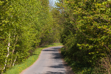 Obraz premium Long asphalt road between bushes and trees in small village in mountains