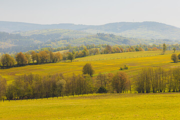 Scenic Rolling Hills and Verdant Fields in a Tranquil Countryside Setting