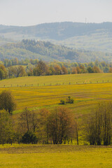 Scenic Rolling Hills and Verdant Fields in a Tranquil Countryside Setting
