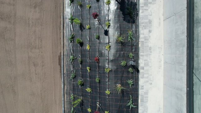 Aerial View of a Garden Layout Design. Weed Barier Protection.