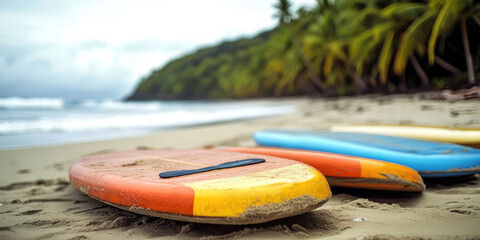 Different colorful surfboards on a summer sandy beach, seashore, sea, palm trees. Summer time background with copy space