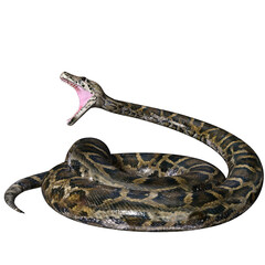 Naklejka premium 3D rendered illustration of a Burmese python isolated on a transparent background 