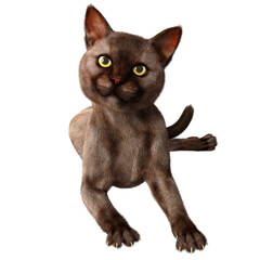 3D rendered illustration of a Burmese cat isolated on a transparent background