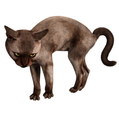 3D rendered illustration of a Burmese cat isolated on a transparent background
