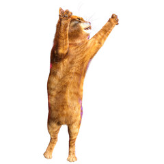 3D rendered illustration of a cute tabby magic cat isolated on transparent background 