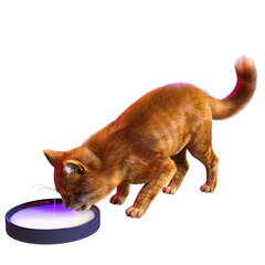 3D rendered illustration of a cute tabby magic cat isolated on transparent background 