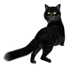 3D rendered illustration of a magical black cat with yellow eyes isolated on transparent background. 