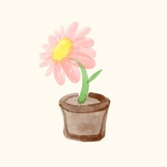 pink flower in a pot