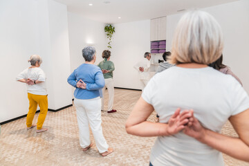 Obraz premium A group of older women are practicing yoga together