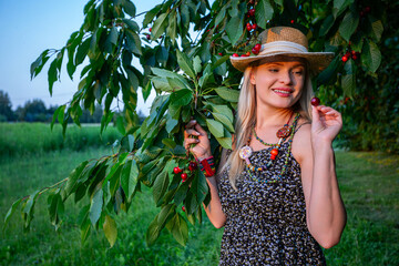 A pretty woman gathering ripe cherries and smiling on a summer day