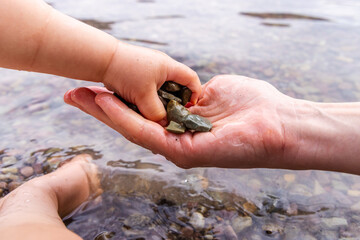 Parent and Child Collecting Pebbles in Scenic Waterton, Alberta, Canada