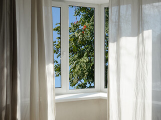Obraz premium View from the window of the room on the park with green trees.