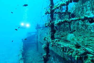 Marine life, wreck and diver. Travel photo, diver and seascape. Deep blue ocean with underwater...