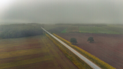 road in the countryside