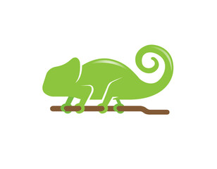 Creative chameleon vector illustration symbol design illustration	