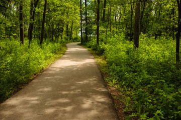 Walkway through the shaded woods to the beach at Harrington Beach State Park, Belgium, Wisconsin in late June