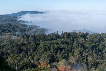 Autumn in the mountains above the trees