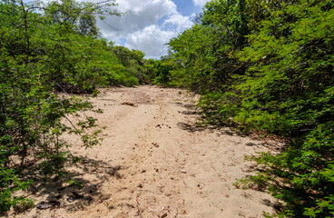 Dry riverbed, without water, due to drought, in the interior of Paraíba, Brazil.