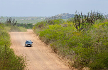 Dirt road in the interior of northeastern Brazil, cutting through the Caatinga biome, in Cariri Paraibano, Brazil.