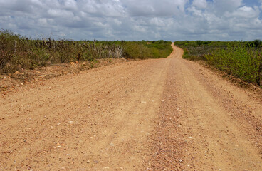 Dirt road in the interior of northeastern Brazil, cutting through the Caatinga biome, in Cariri Paraibano, Brazil.