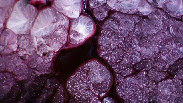Red cells blood marble microscopic texture background