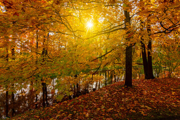 Autumn foliage in Catherine park, Pushkin (Tsarskoe Selo), Saint Petersburg, Russia