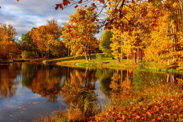 Autumn foliage in Alexander park, Tsarskoe Selo (Pushkin), St. Petersburg, Russia