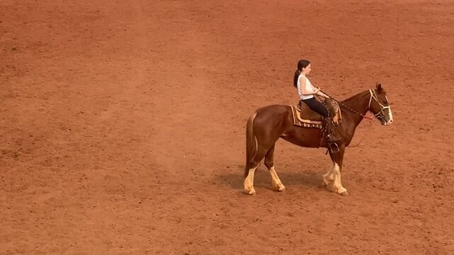 Menina cavalga em cavalo em arena rural 