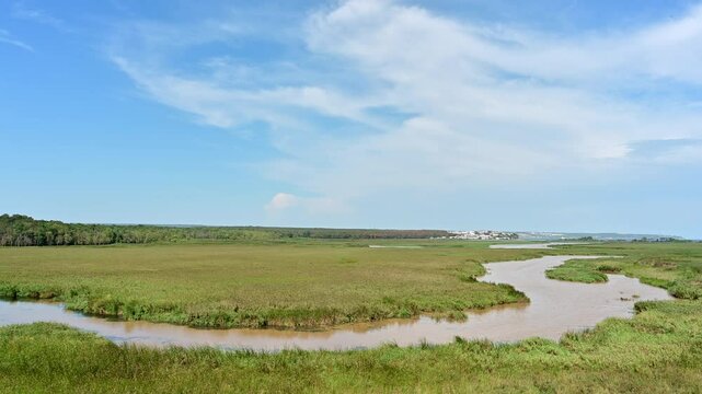 Coastal Wetlands near Igneada District. Scenic view of coastal wetlands with a winding river, grassy fields, and the distant town of Igneada under a clear sky.

