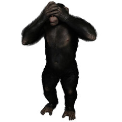 Naklejka premium 3D rendered illustration of a chimpanzee isolated on a transparent background 